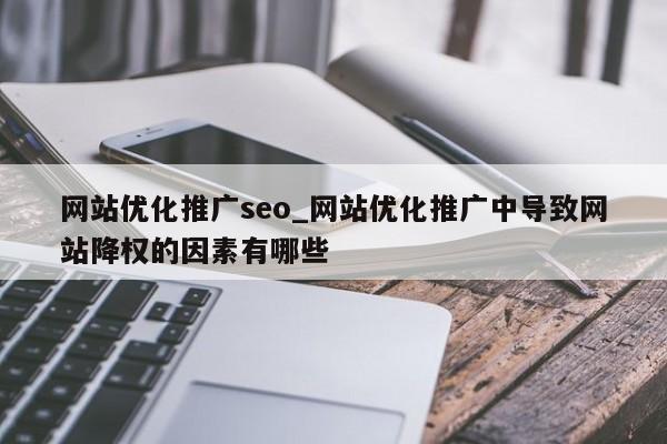 网站优化推广seo_网站优化推广中导致网站降权的因素有哪些