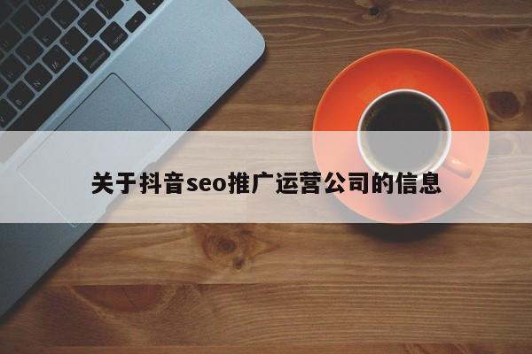 关于抖音seo推广运营公司的信息