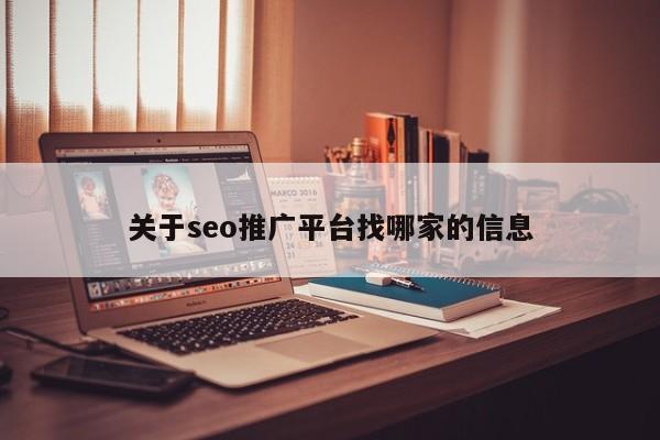 关于seo推广平台找哪家的信息