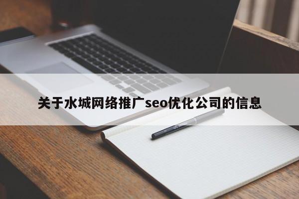 关于水城网络推广seo优化公司的信息
