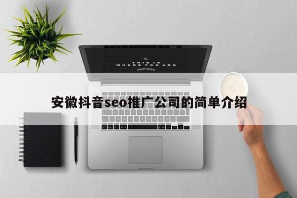 安徽抖音seo推广公司的简单介绍
