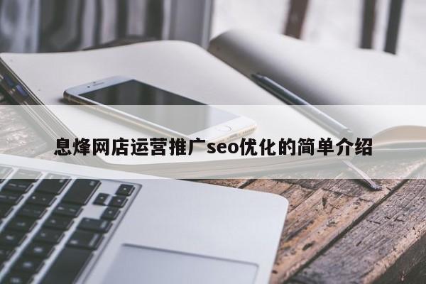 息烽网店运营推广seo优化的简单介绍