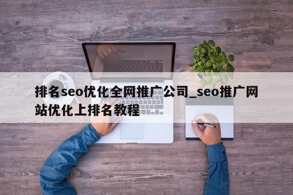 排名seo优化全网推广公司_seo推广网站优化上排名教程